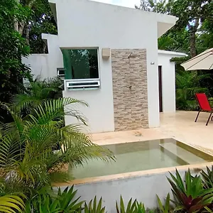 Ixchel Private Pool , Tulum México